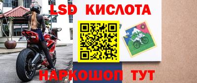 гидропоника Будённовск
