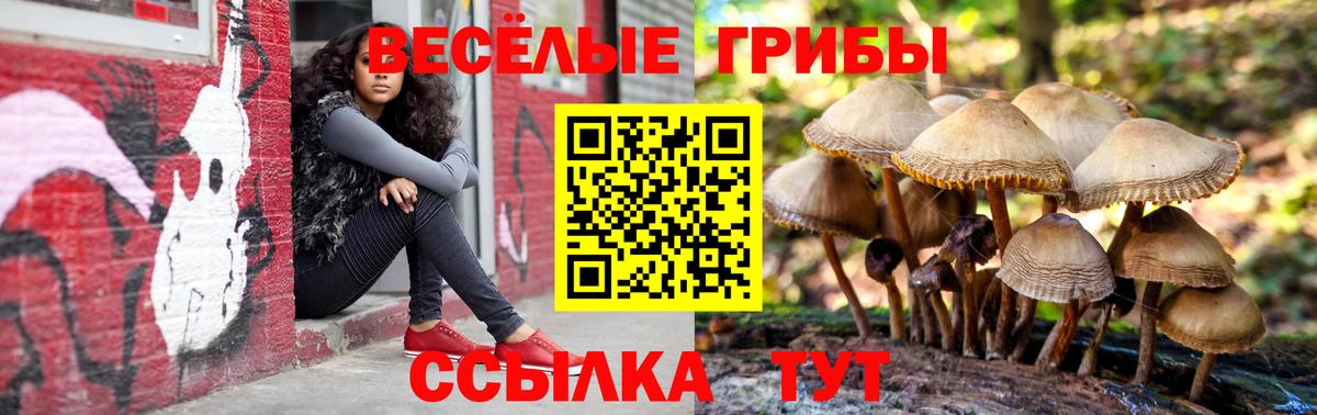 Псилоцибиновые грибы прущие грибы  Вход с VPN  Геленджик 